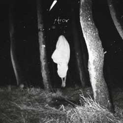 Flood Of Red – Throw
