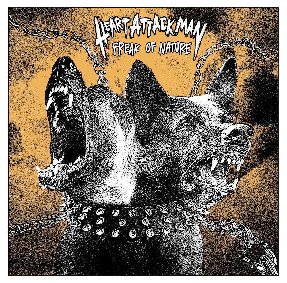 Heart Attack Man Freak Of Nature Punk Rock Theory