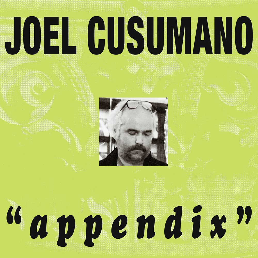Joel Cusumano Appendix Punk Rock Theory