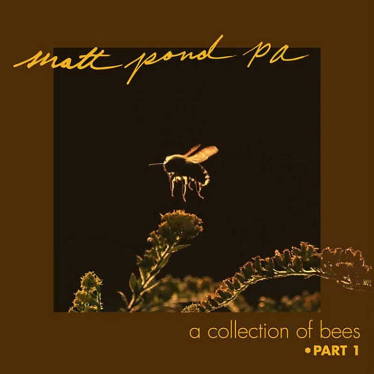 Matt Pond PA – A Collection Of Bees Part 1