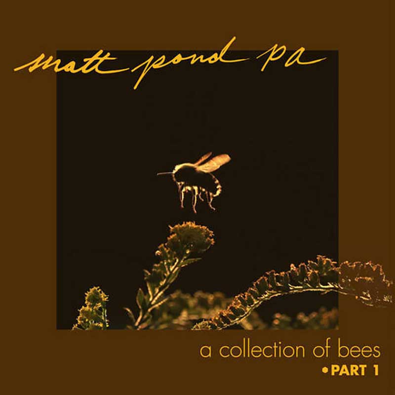 Matt Pond PA A Collection Of Bees Part 1 Punk Rock Theory