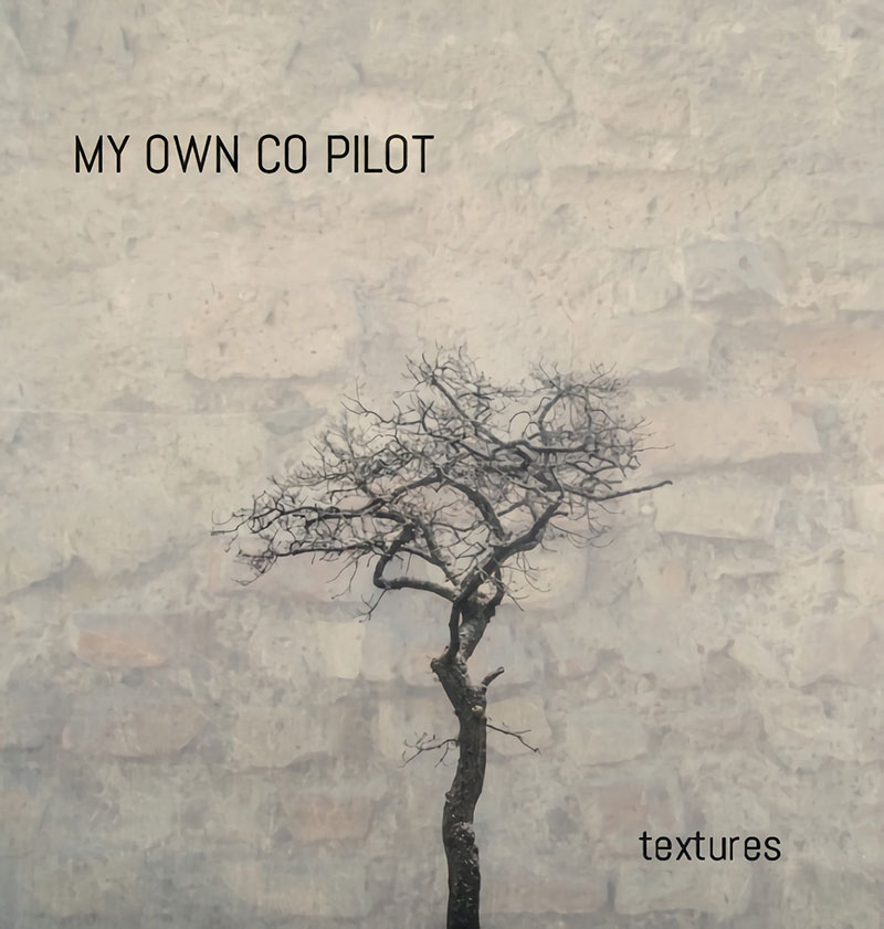 My Own Co-Pilot Textures Punk Rock Theory