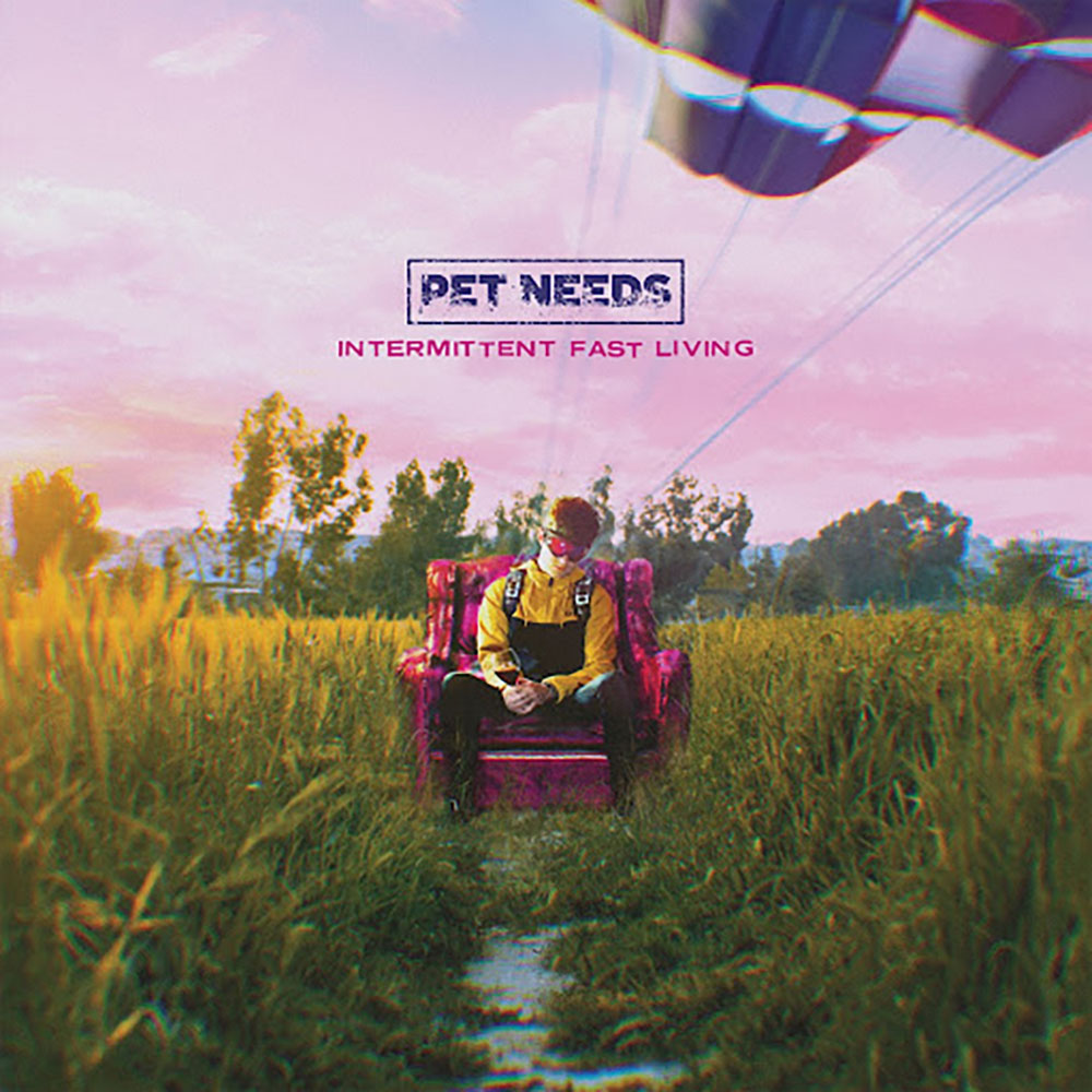 Pet Needs Intermittent Fast Living Punk Rock Theory