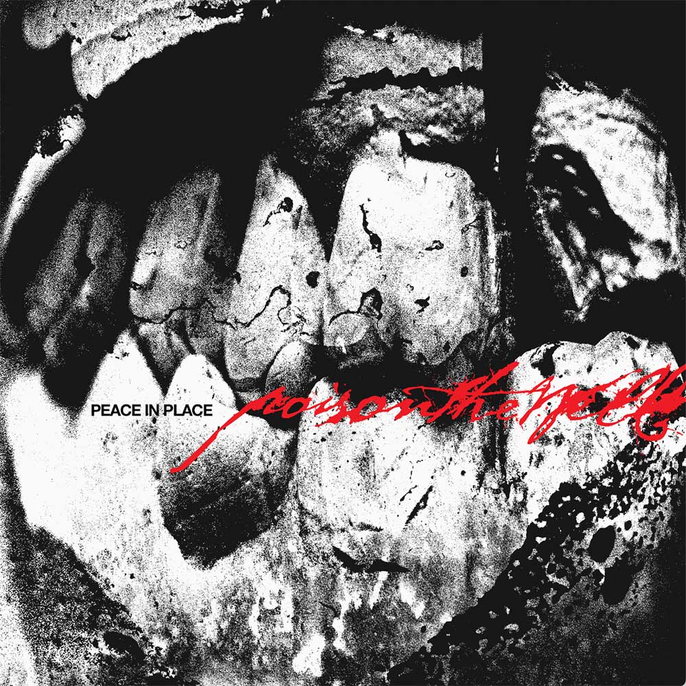Poison The Well Peace In Place Punk Rock Theory