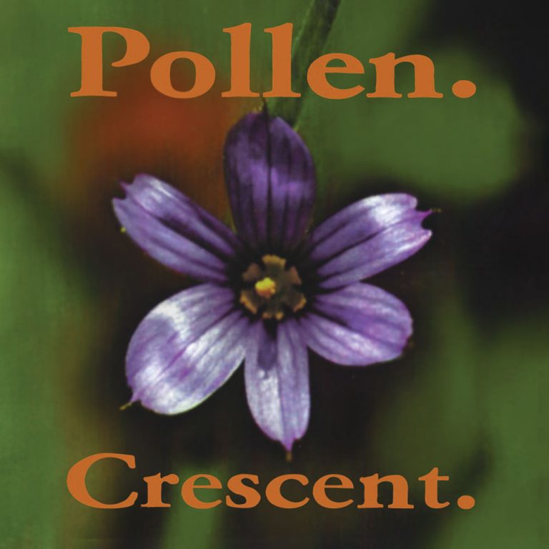 Pollen – Crescent