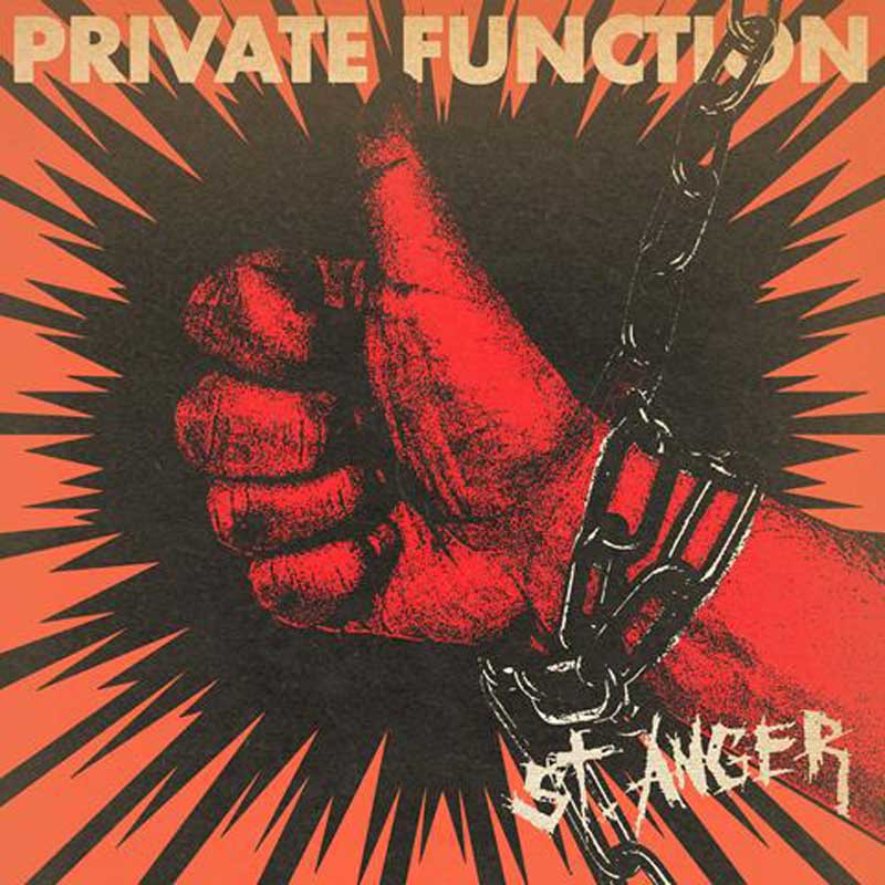 Private Function St. Anger Punk Rock Theory