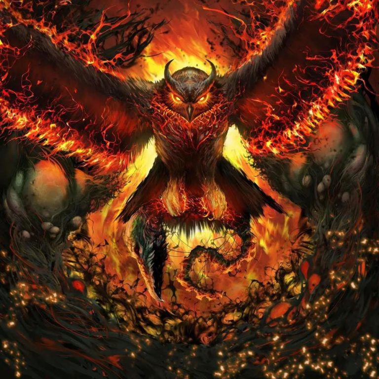 Rad Owl – Rage Gracefully