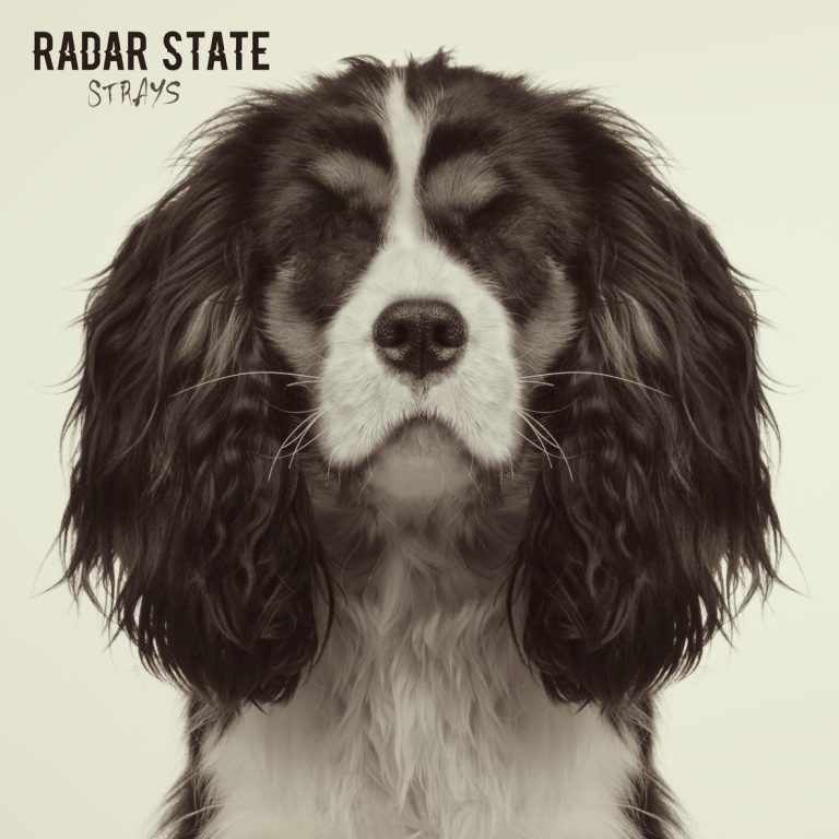 Radar State – Strays