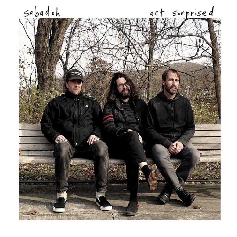 Sebadoh – Act Surprised