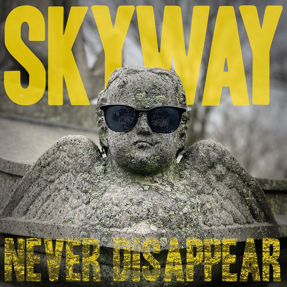 Skyway Never Disappear Punk Rock Theory