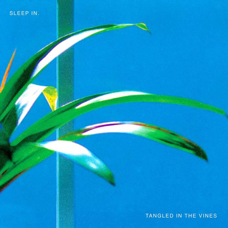 Sleep In. – Tangled In The Vines