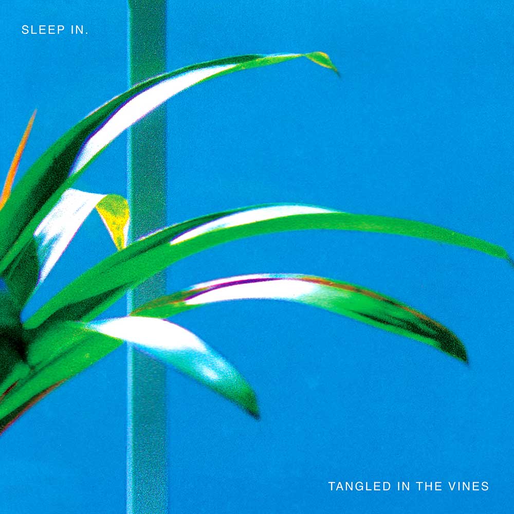 Sleep In Tangled In The Vines Punk Rock Theory