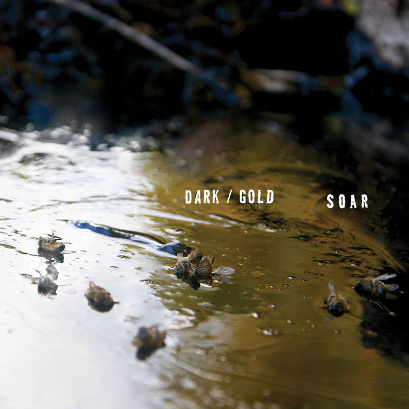 Soar - Dark/Gold