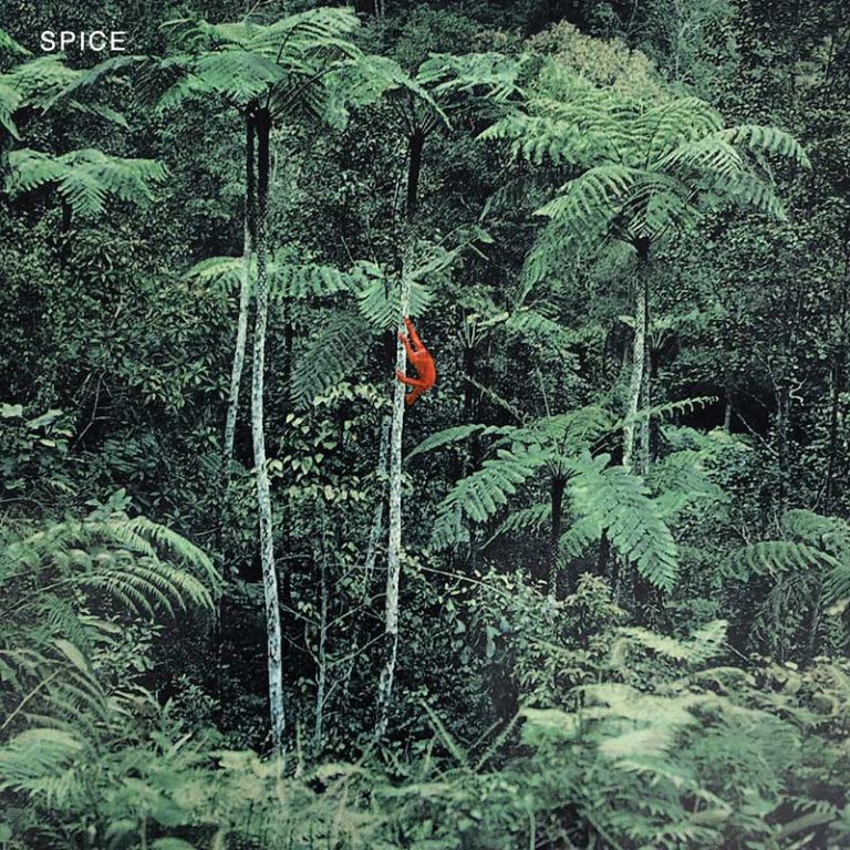 Spice – Spice