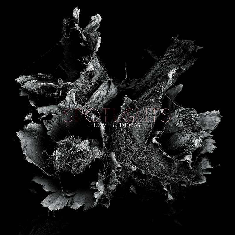 Spotlights Love & Decay Punk Rock Theory