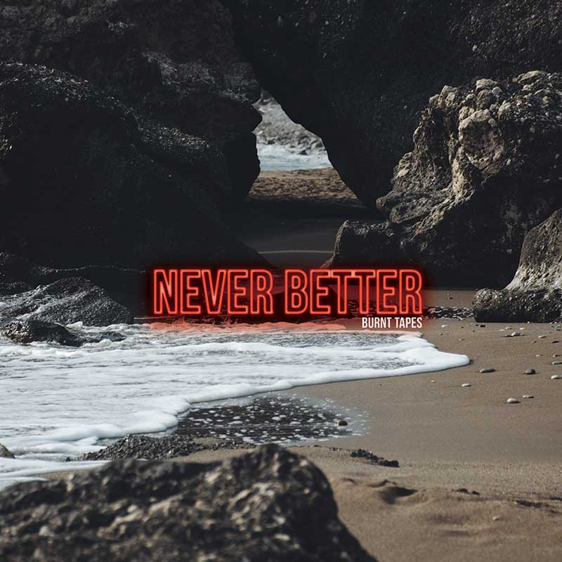 The Burnt Tapes Never Better Punk Rock Theory