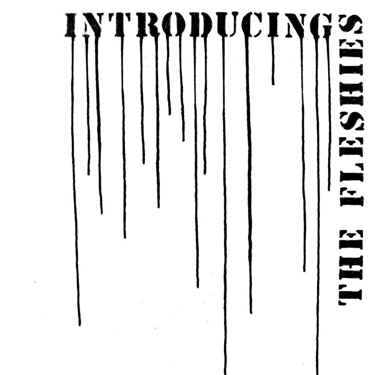 The Fleshies – Introducing The Fleshies