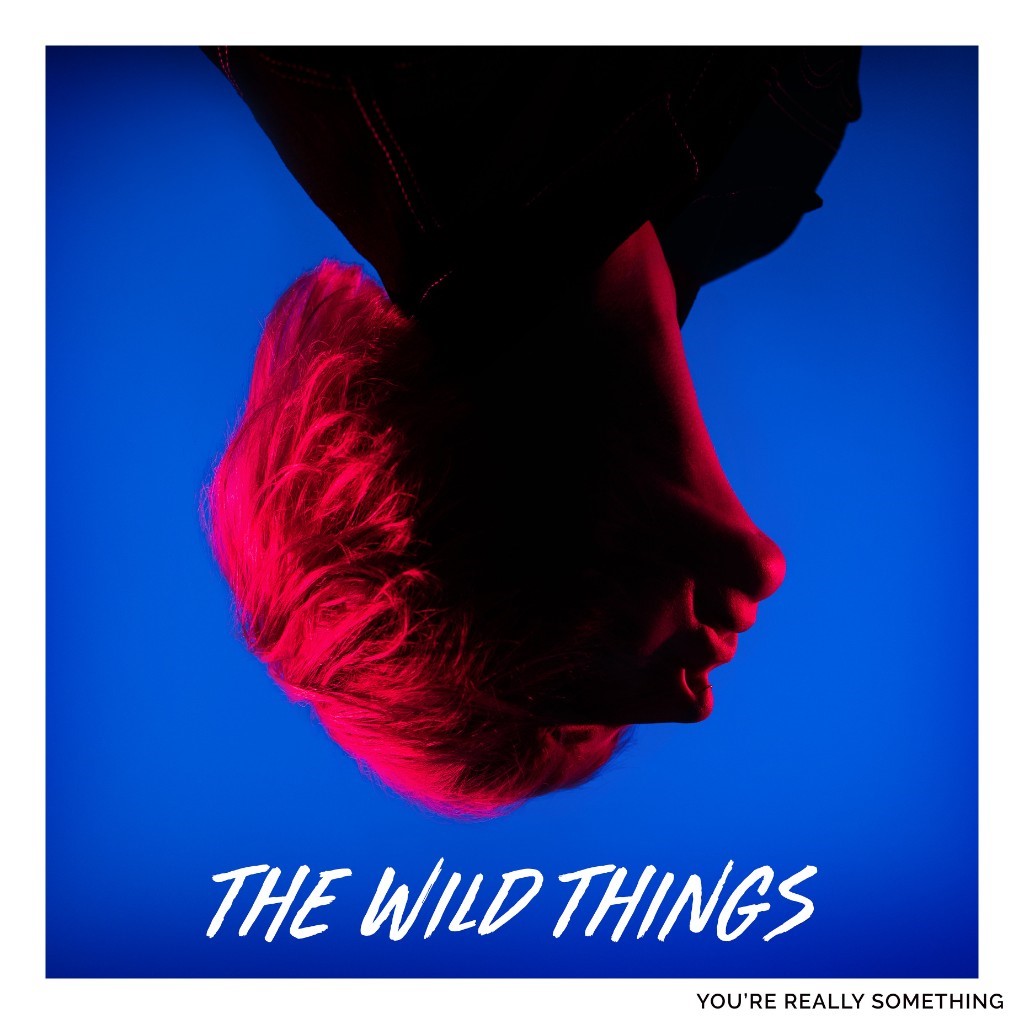 The Wild Things You're Really Something Punk Rock Theory
