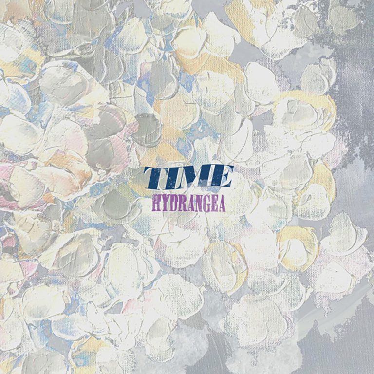 Time – Hydrangea