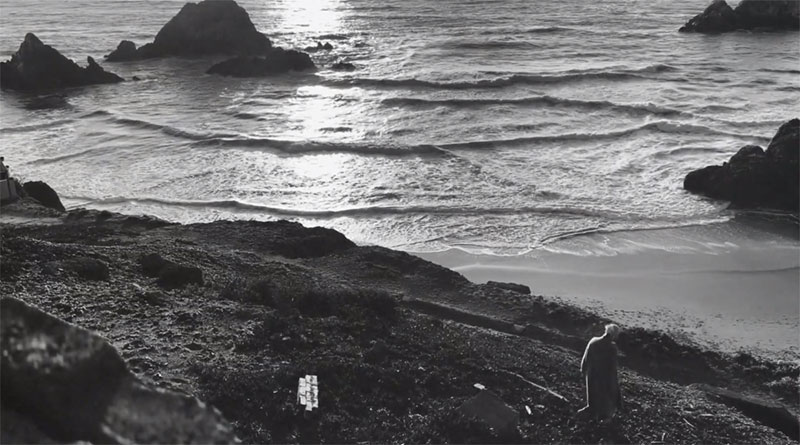 Young Prisms shares new single & video